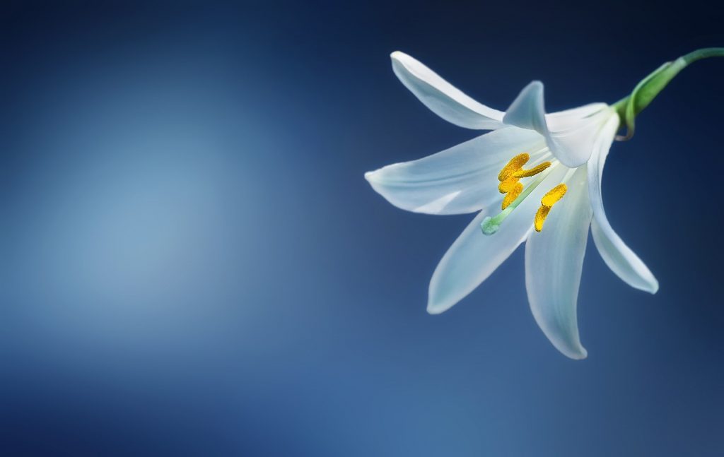 liliom